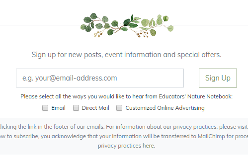 mailchimp.png