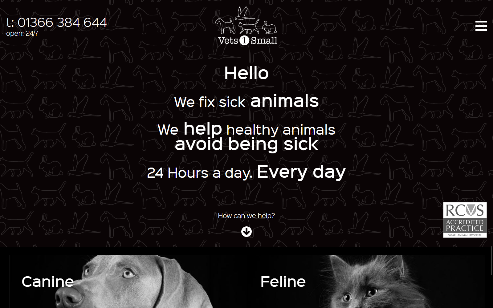 Veterinary Brochure Website screenshot